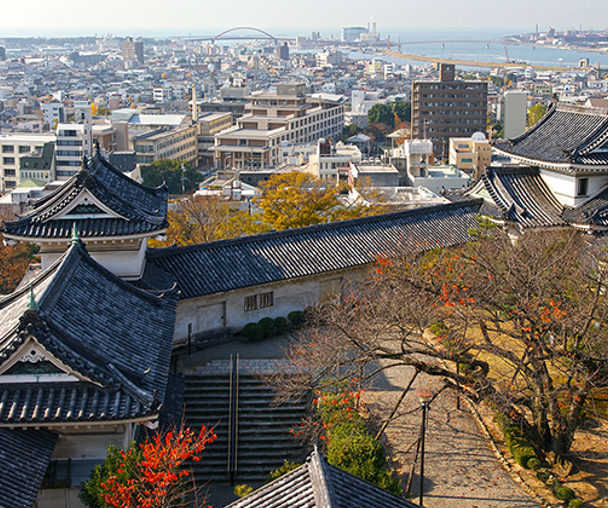 activity_detail_image