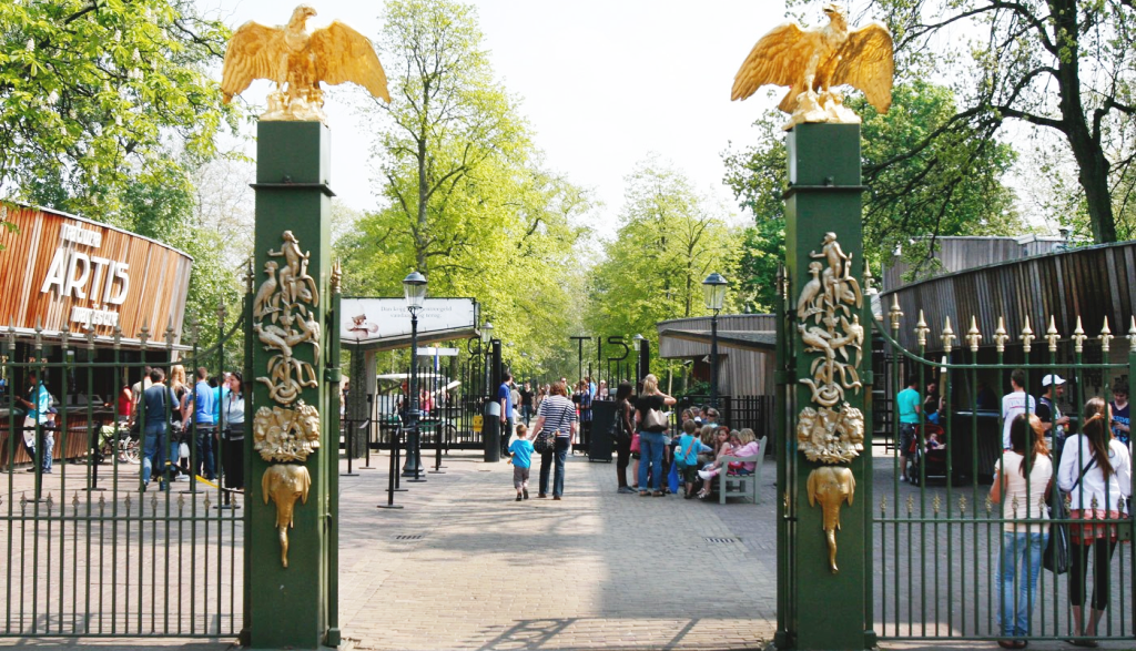 Amsterdam ARTIS Royal Zoo Ticket