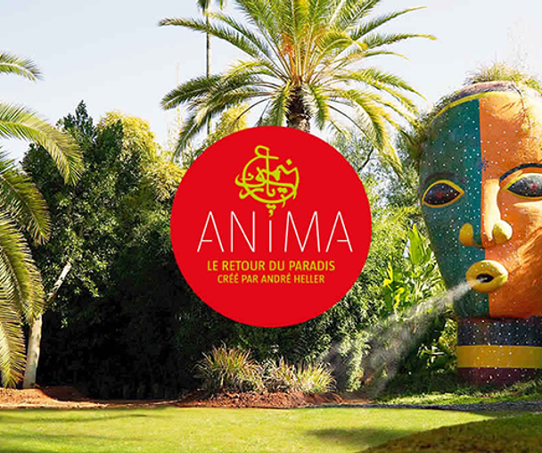 activity_detail_image