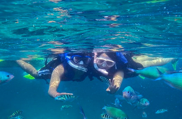 발리 누사 렘봉안 스노클링 & 맹그로브 투어