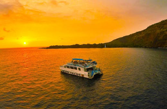 하와이 빅아일랜드 디럭스 코나 스노클링 & 돌핀 크루즈 투어