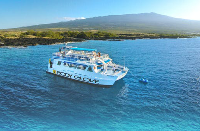 하와이 빅아일랜드 디럭스 코나 스노클링 & 돌핀 크루즈 투어