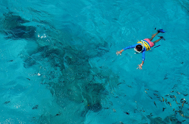 하와이 빅아일랜드 디럭스 코나 스노클링 & 돌핀 크루즈 투어