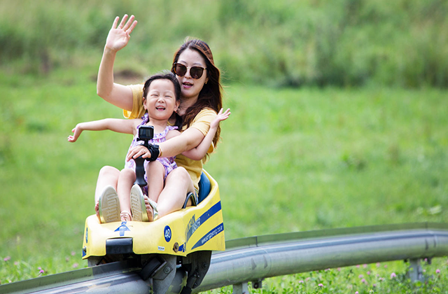 강원 평창 모나용평리조트 마운틴코스터 이용권