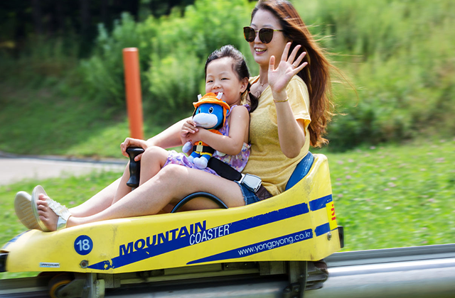 강원 평창 모나용평리조트 마운틴코스터 이용권