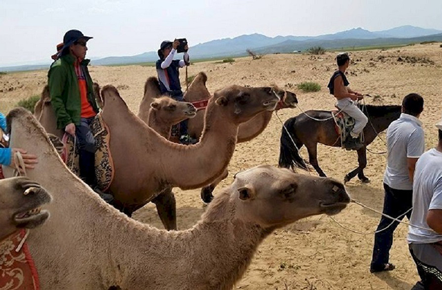 [투어랑] [2박3일] 몽골 쳉헤르 온천 & 미니 사막 투어