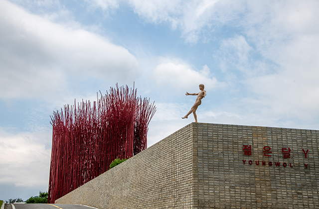 강원 영월 젊은달 Young 月 와이파크 입장권