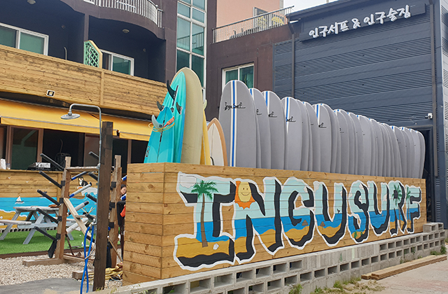 강원 양양 인구서프 서핑 강습 & 무제한 자유 서핑