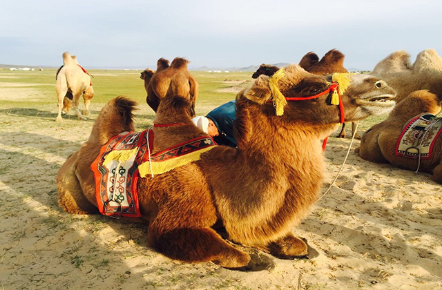 [투어랑] [1박2일] 몽골 미니사막 단독 투어