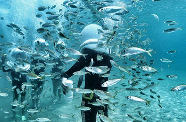 제주 언더워터플레이 씨워커