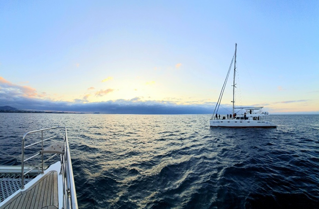 제주 그랑블루 럭셔리 요트 투어
