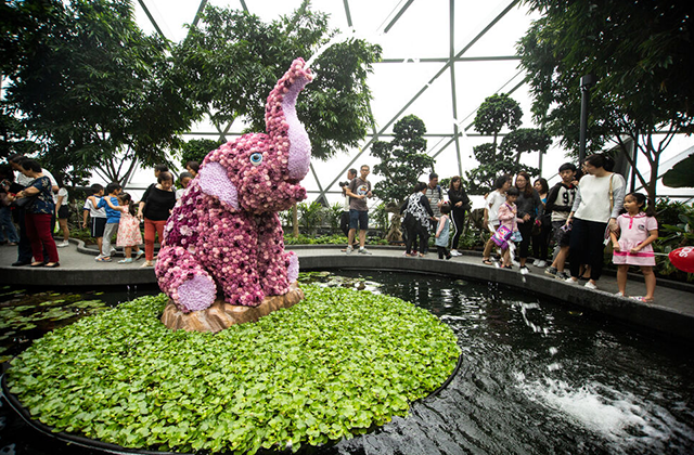 싱가포르 창이공항 폭포 쥬얼 입장권 (헤지 메이즈, 미러 메이즈, 바운싱 네트)