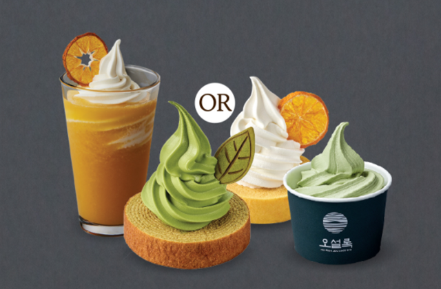 제주 서귀포 오설록 티 뮤지엄 말차 소프트 아이스크림