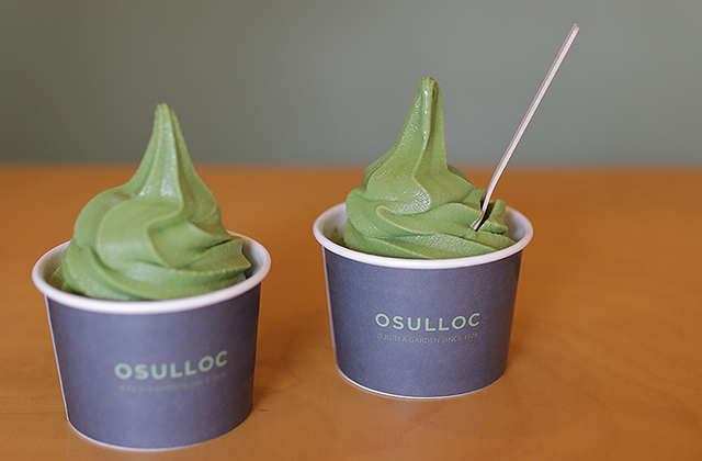 제주 서귀포 오설록 티 뮤지엄 말차 소프트 아이스크림