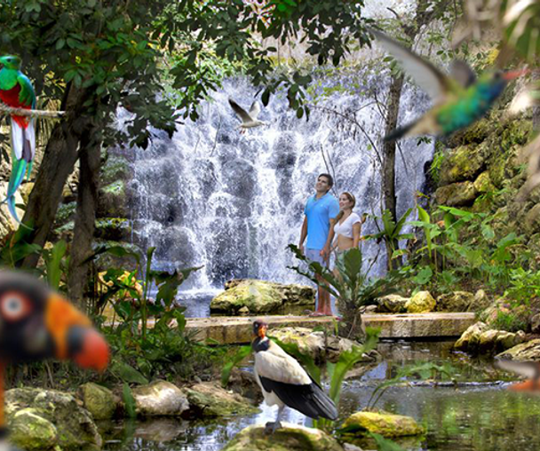 activity_detail_image