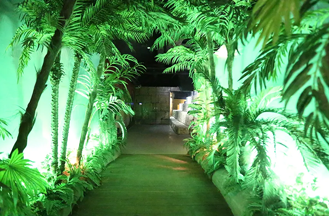 대전 아쿠아리움 입장권 (체험동물원 포함)