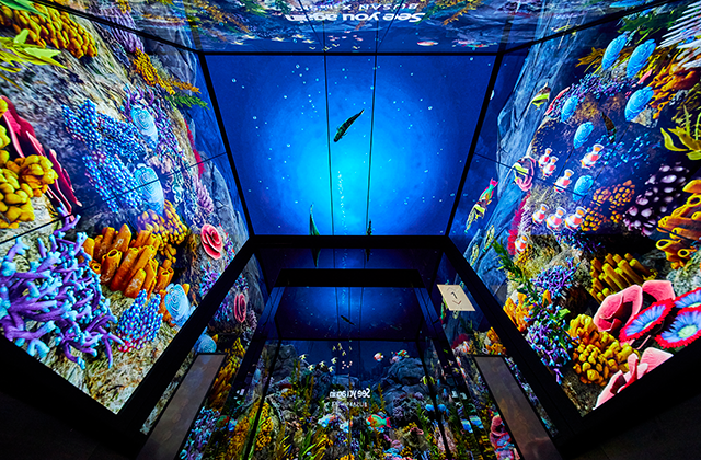 부산 엑스더스카이 엘시티 전망대 입장권