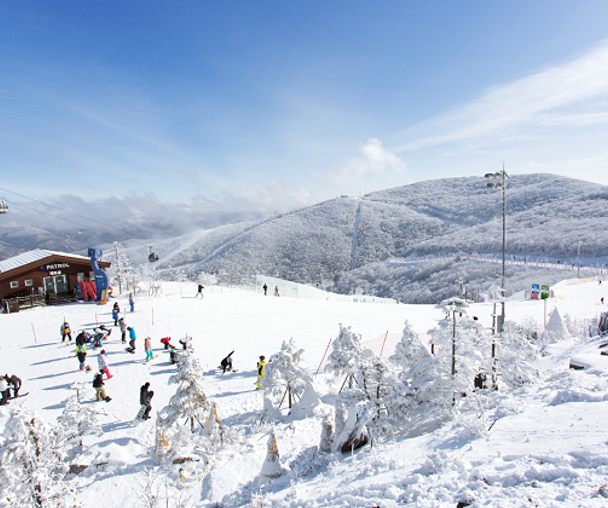 activity_detail_image