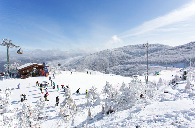 강원 정선 하이원리조트 25/26 리프트권