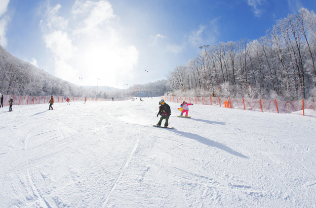 activity_detail_image