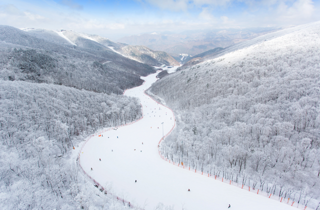 강원 정선 하이원리조트 25/26 리프트권