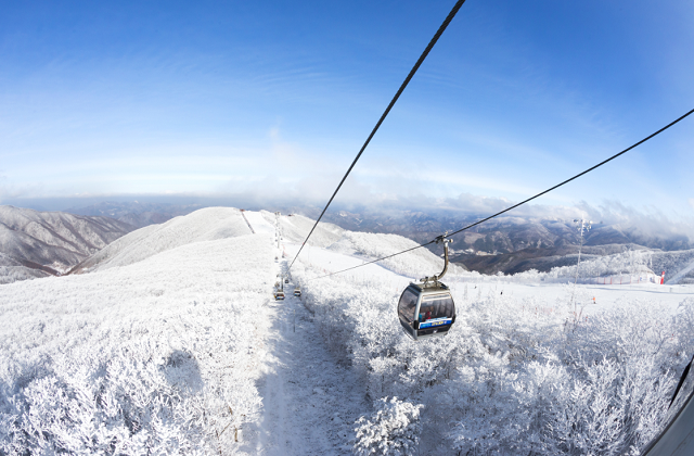 activity_detail_image