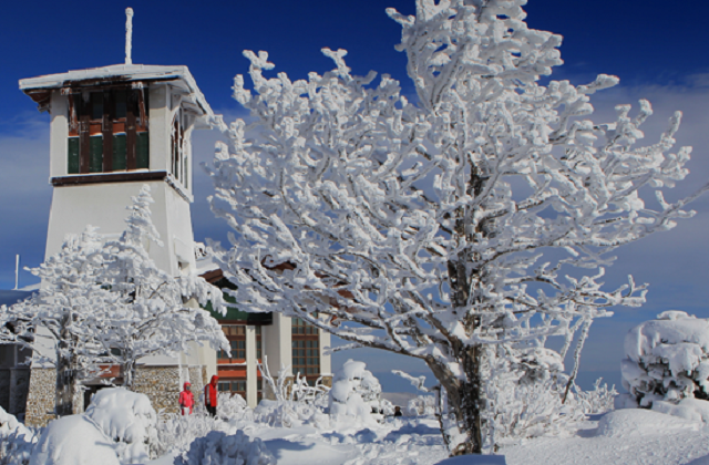 강원 평창 모나용평 25/26 리프트권 단품 (반일권/주간권)