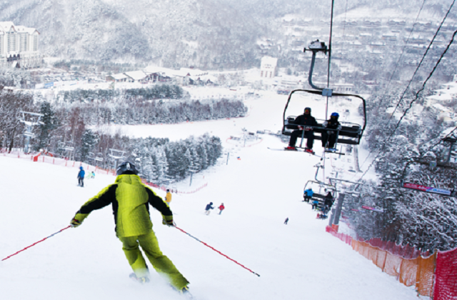 강원 평창 모나용평 25/26 리프트권 단품 (반일권/주간권)