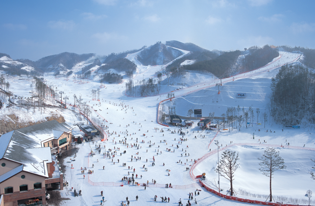 activity_detail_image