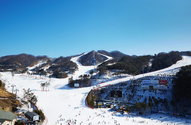 강원 원주 오크밸리 25/26 리프트권 & 장비렌탈권 & 쿠키런 스위트랜드 입장권