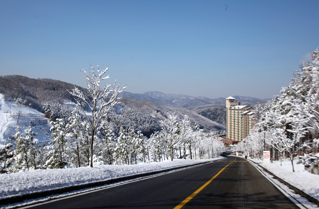 강원 원주 오크밸리 25/26 리프트권 & 장비렌탈권 & 쿠키런 스위트랜드 입장권