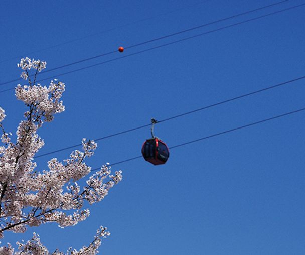 activity_detail_image