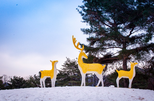 activity_detail_image