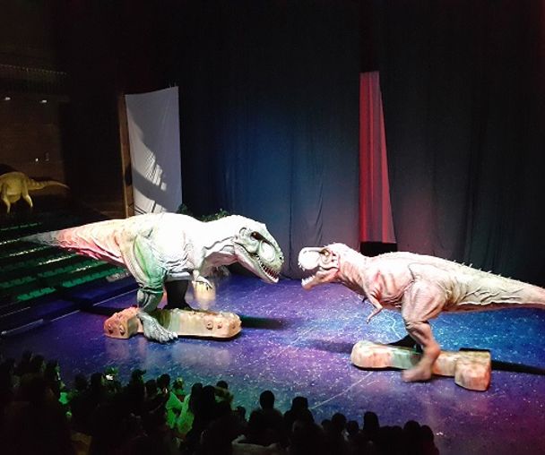 activity_detail_image