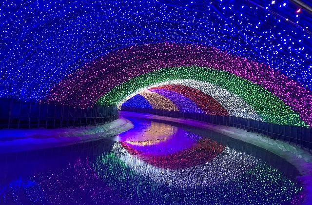 충남 청양 칠갑산 알프스마을 눈썰매장 & 겨울왕국