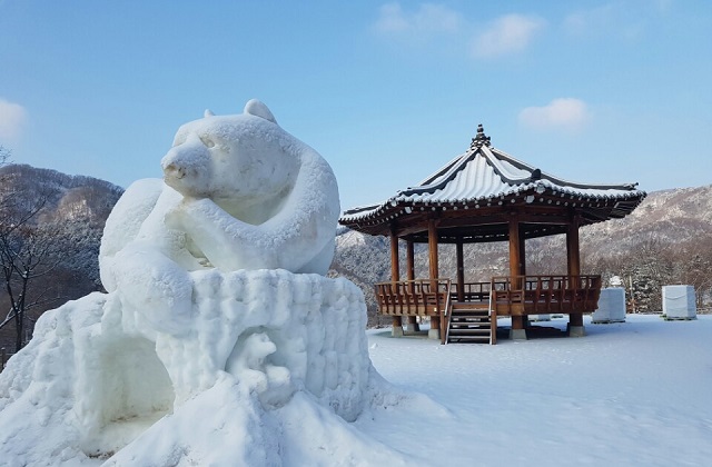 activity_detail_image