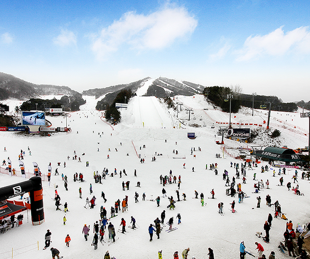 activity_detail_image