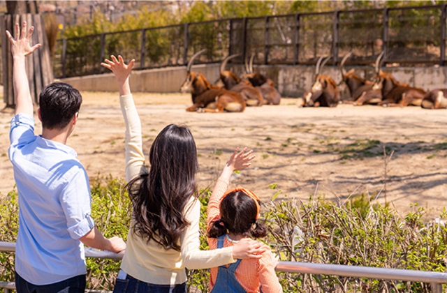 과천 서울대공원 리프트 & 서울동물원 입장권 패키지