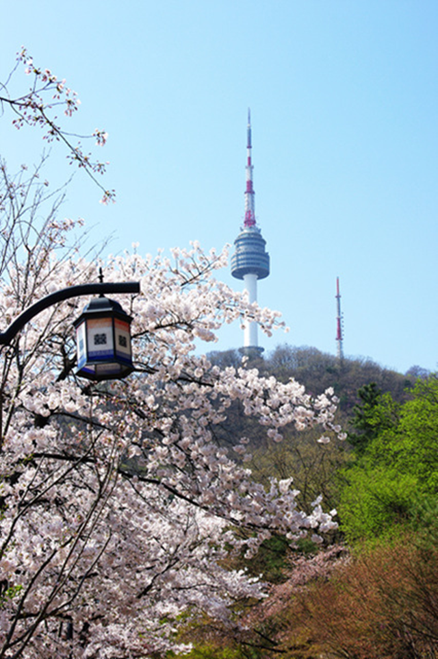 남산 N서울타워 전망대 입장권 (바로 사용)