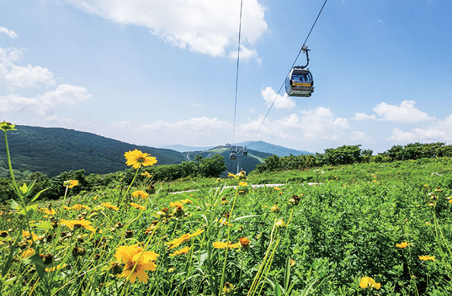 강원 정선 하이원리조트 부대시설 이용권 (운탄고도 케이블카 / 수영장 & 사우나 / 조식뷔페)