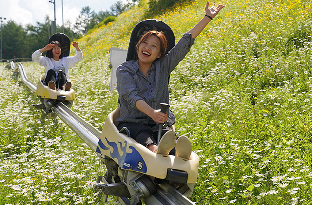 강원 정선 하이원리조트 부대시설 이용권 (운탄고도 케이블카 / 수영장 & 사우나 / 조식뷔페)