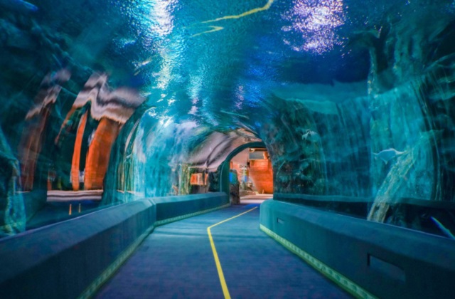 activity_detail_image