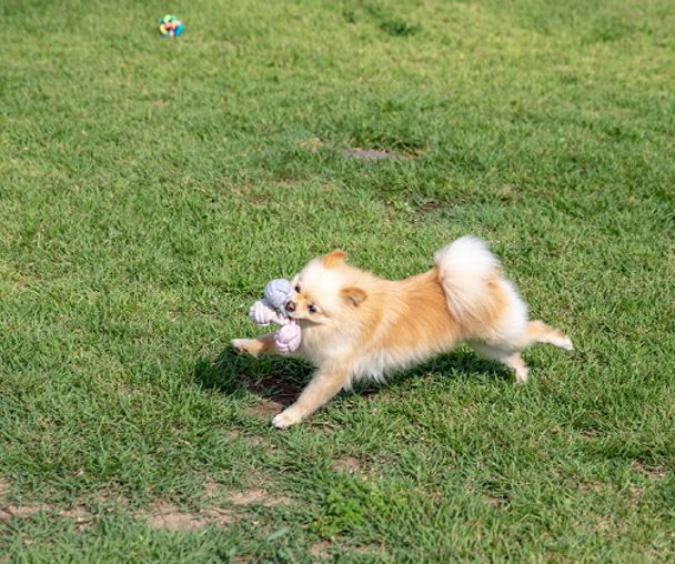 activity_detail_image