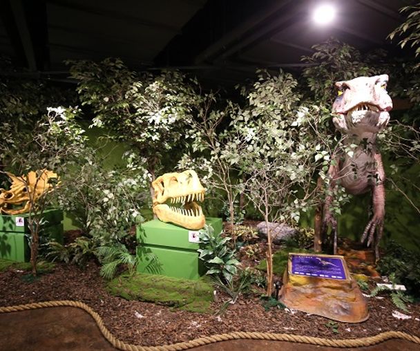 activity_detail_image