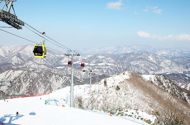 강원 태백 오투리조트 25/26시즌 스키 시즌권