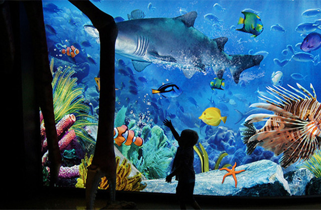 방콕 씨라이프 오션월드 패키지 입장권