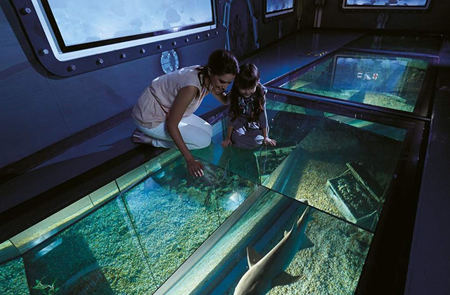 방콕 씨라이프 오션월드 패키지 입장권