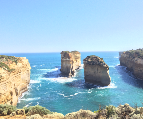 activity_detail_image