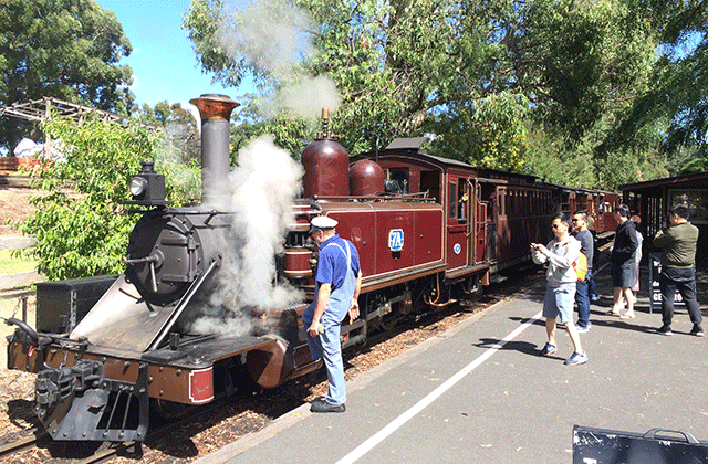 [땡스투어] 퍼핑빌리 증기 기관차 +  모닝톤 별밤 온천 투어