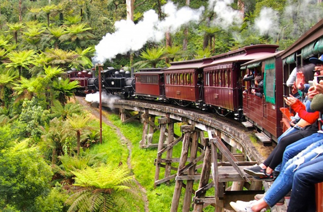 [땡스투어] 퍼핑빌리 증기 기관차 +  모닝톤 별밤 온천 투어